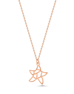 The Starfish
